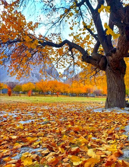 لوگ تمہاری دل آزاری کرنے کے بعد ۔۔۔۔۔۔۔

ایسا ۔۔۔۔۔۔

رویہ دکھائیں گے

جیسے ۔۔۔۔۔۔۔۔

تم نے ان کی دل آزاری کی 😯🦋🥀