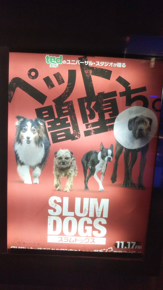 RF_Tatu's tweet photo. 吹替の
スラムドッグス(原題:STRAYS)
観た。

とっても楽しかった！w
下品で汚い！でも最高！
豪華な吹替であんな言葉こんな言葉言っちゃって良いのォ？w

飼い主ダグに捨���られたレジー
彼を助けた野良犬バグ
その仲間のマギーとハンター
彼らの…

#スラムドッグス 
#SLUMDOGS 
#STRAYS https://t.co/Gs6Ck8ZXGy
