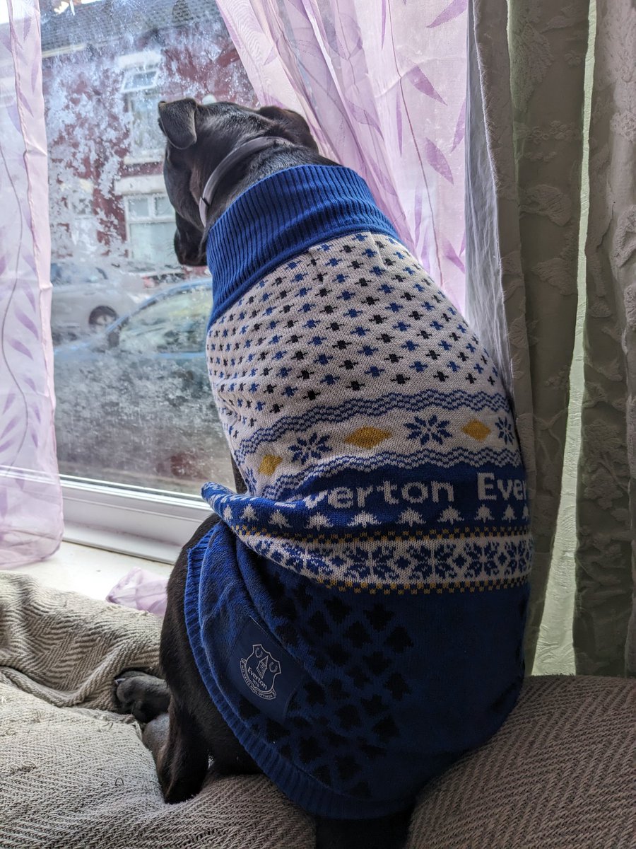 Happy Friday toffees 💙