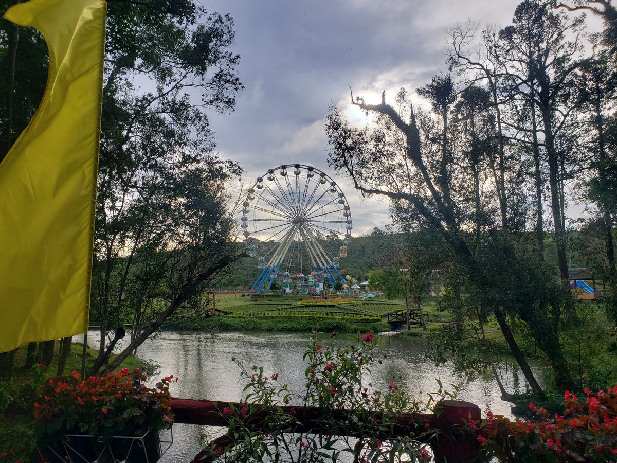 HamsterSe7en's tweet photo. Đến cuối tuần lại sách balo lên và đi 😭
Someplace i went to work
#SSG #Dangoinfinity #Dalattravel https://t.co/YZyZS9dUOi