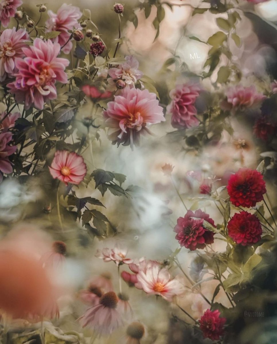 During the week we lived in rough seas, but when Friday arrived, we felt the gentle breeze coming from the calm sea!  - Lorrayne Paraiso 
Good Friday and a great Weekend to all of you... 🍀🍂