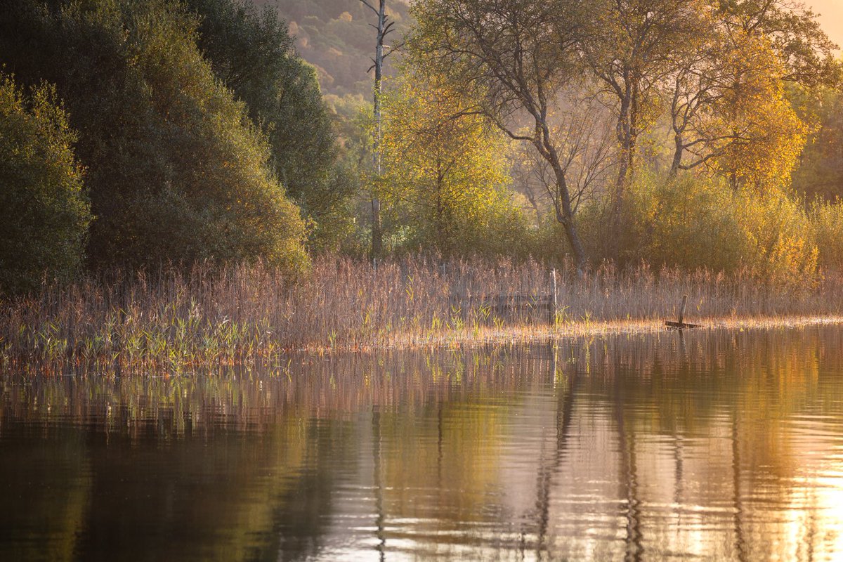 Serenity in the #Trossachs at dawn @VisitScotland