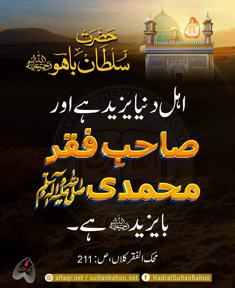 The worldly minded people are no different from Yazid as the people on the path of Muhammadan faqr are no different from Bayazid (R.A). 

اہل دنیا یزید ہے اور صاحبِ فقر محمدی صلی اللہ علیہ وآلہ وسلم بایزید رحمۃاللہ علیہ ہے۔
محک الفقر کلاں 
ص : 211 ، حضرت سلطان باھو رح