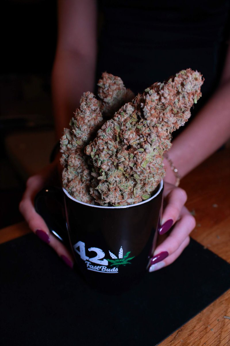 Fast_Buds's tweet image. 🚨Friday&apos;s giveaway!🚨
We are giving away:
+ 10 seeds of the award-winning Fast Buds
 genetics 
+ Epic Hoodie
+ Eco-friendly 420 Jar
+ Those special 420 Socks😉
+ Grower Gloves
+ Geotextile Pot
🚨Rules~
• Follow  fast_buds
 • Tag 3 friends 
• Like + Retweet
We will announce…