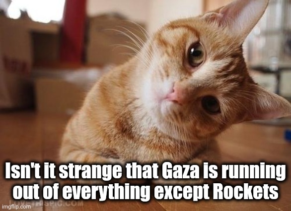 MidEast Madness! tweet media