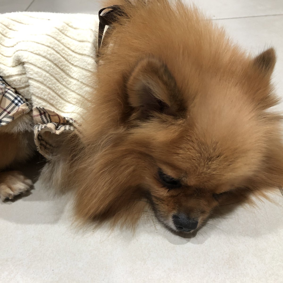 เอาล่ะ เกียมตัวนะไอ่นู๋