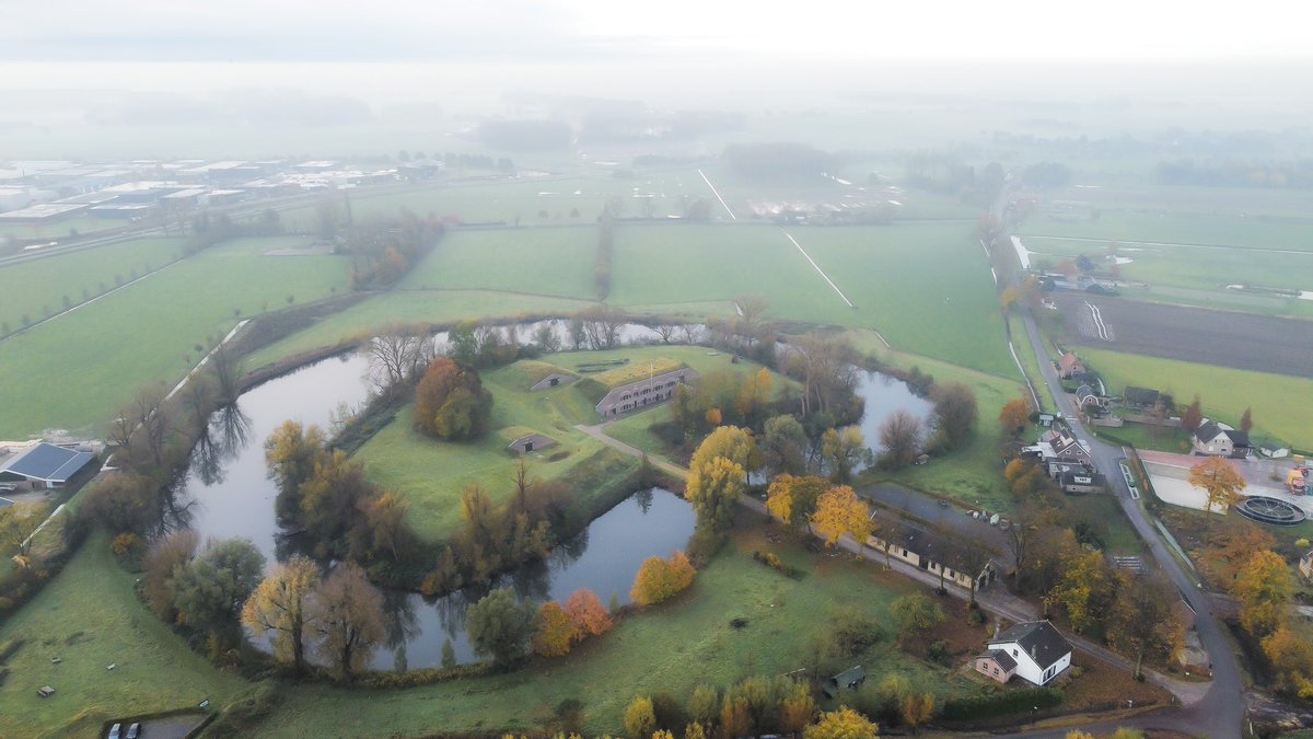 Bart Pörtzgen 🌳🦉 tweet media