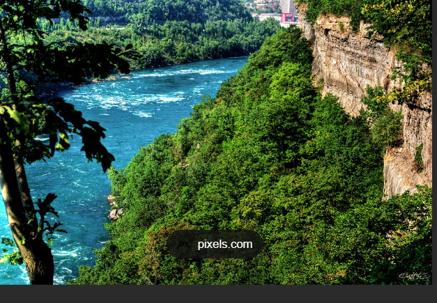 Niagara Bruce Trail tweet media