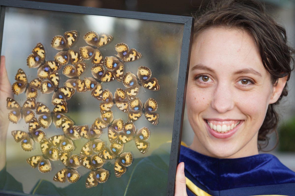 In her #JEB100 ECRSpotlight, @RachelCThayer talks about how a home-made book started her fascination with animals, how the structures in the scales of #butterfly wings produce color & why she thinks review articles are great journals.biologists.com/jeb/article/22… #Science #Biology #entomology