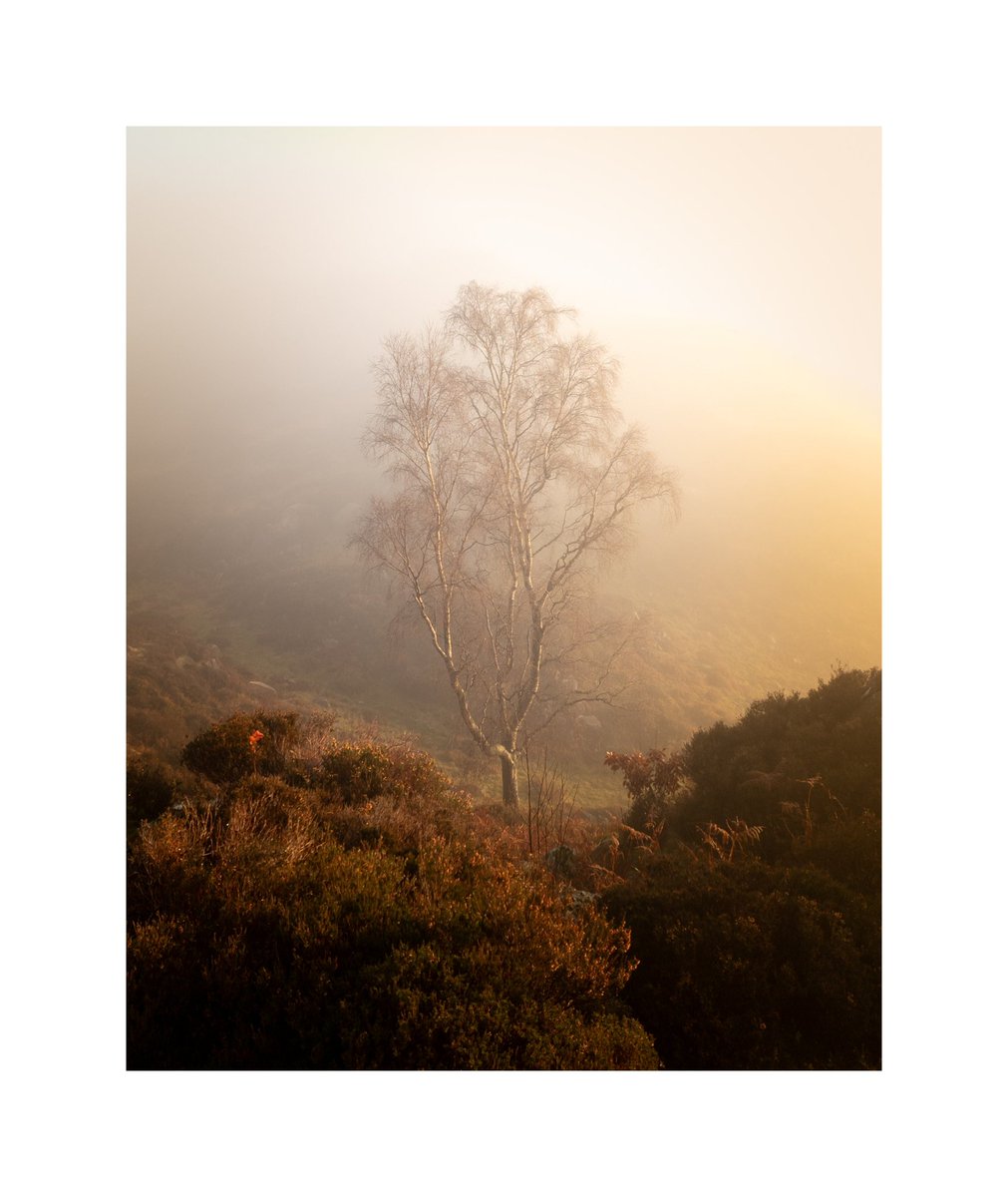 A bit of light this morning, thankfully #LakeDistrict #samsungS22ultra #lightroommobile