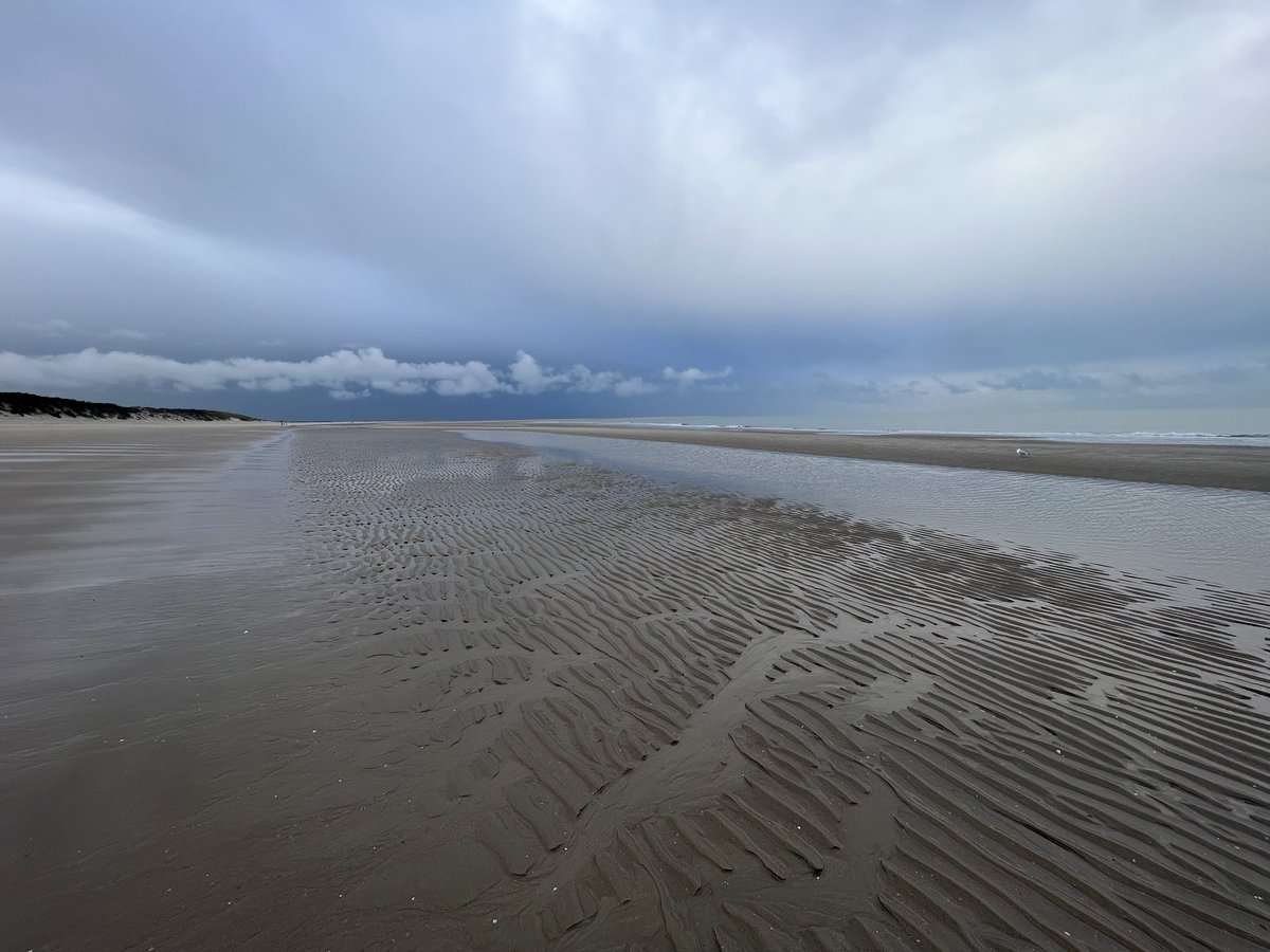 Heerlijke ochtendwandeling gemaakt. 😄👌🏻🌧️