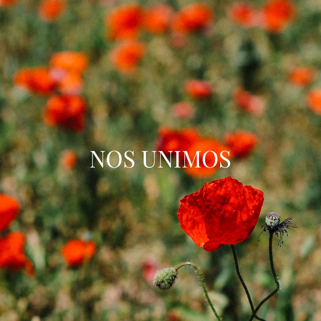 Farewell golf lovers! ⛳ We’ll meet again in our other account <a href="/costabrava/">Costa Brava Pirineu</a>. Hurry! Follow us! 💚 #Golf #GolfCostaBrava