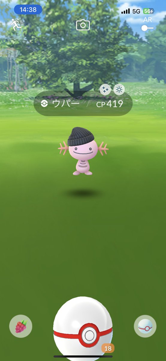 405pbi's tweet photo. かわちい🤍ウパー
 #ポケモンGO色違い https://t.co/aaprVy4qr4