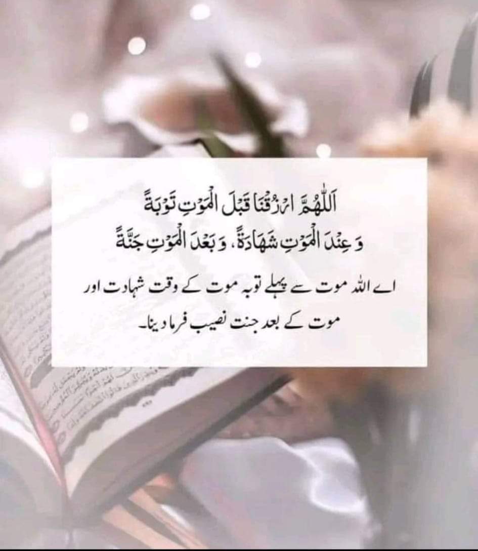 EhsanUllah35's tweet photo. Subhan Allah 
#ViratKohli #Shami #TejRan #Biggboss17 #Abhiya #Abhisha #oriele #AUSvsSA #GOAT𓃵 #IndiaVsNewZealand #INDvsNZ #MissUniverse2023 #SAvsAUS #anushkasharma #AUSvsSA #SAvsAUS #BabarAzam𓃵
#CWC23semifinal #Worldcupfinal2023 https://t.co/2KYU646uGw