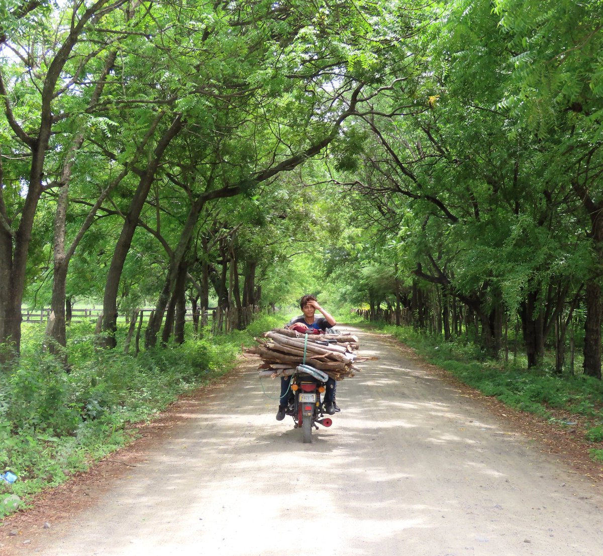 LatAmTravelist tweet media