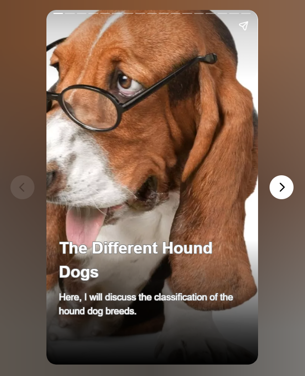 The Different Hound Dogs

Understand the different hound dog breeds. Know which is the right one for you.

webstories.today/watch/the-diff…