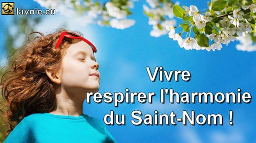 petaleshistoire's tweet image. The Holy-Name (blog in english): the-path-spirituality.blogspot.com/2023/11/the-ho… 
#HolyName #spirituality #ThePath #Meditation #Yoga #Happiness