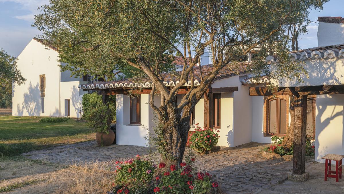 MargenesOnline's tweet photo. Hoy arranca RAW: Residencias Arché→Work en la finca #ElAzahar.
🍃Allí los cineastas, junto al director #TiagoHespanha y la cineasta #MaríaPérez, tendrán una oportunidad de integrar en su trabajo prácticas de creación colectiva para pensar y crear desde otra perspectiva. https://t.co/s6KEHzZxnE