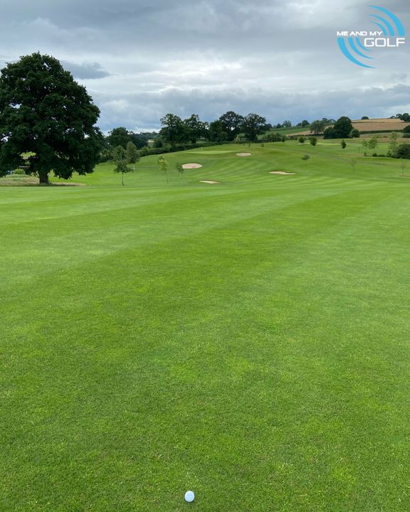 Me and My Golf tweet media