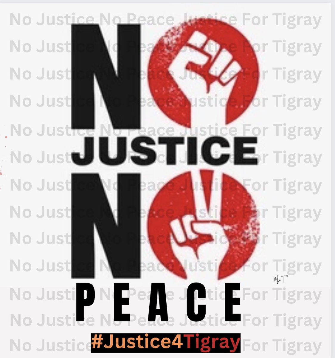 🗣After the signing of the Cessation of Hostilities Agreement in November 2022 – and the spread of violence across much of the country,highlight the scale of impunity
👉#Justice4TigrayGenocide  
@eu_eeas @UN @UN_HRC 
#IndependentInvestigation4Tigray @UNGeneva @EmatTesfayy @POTUS