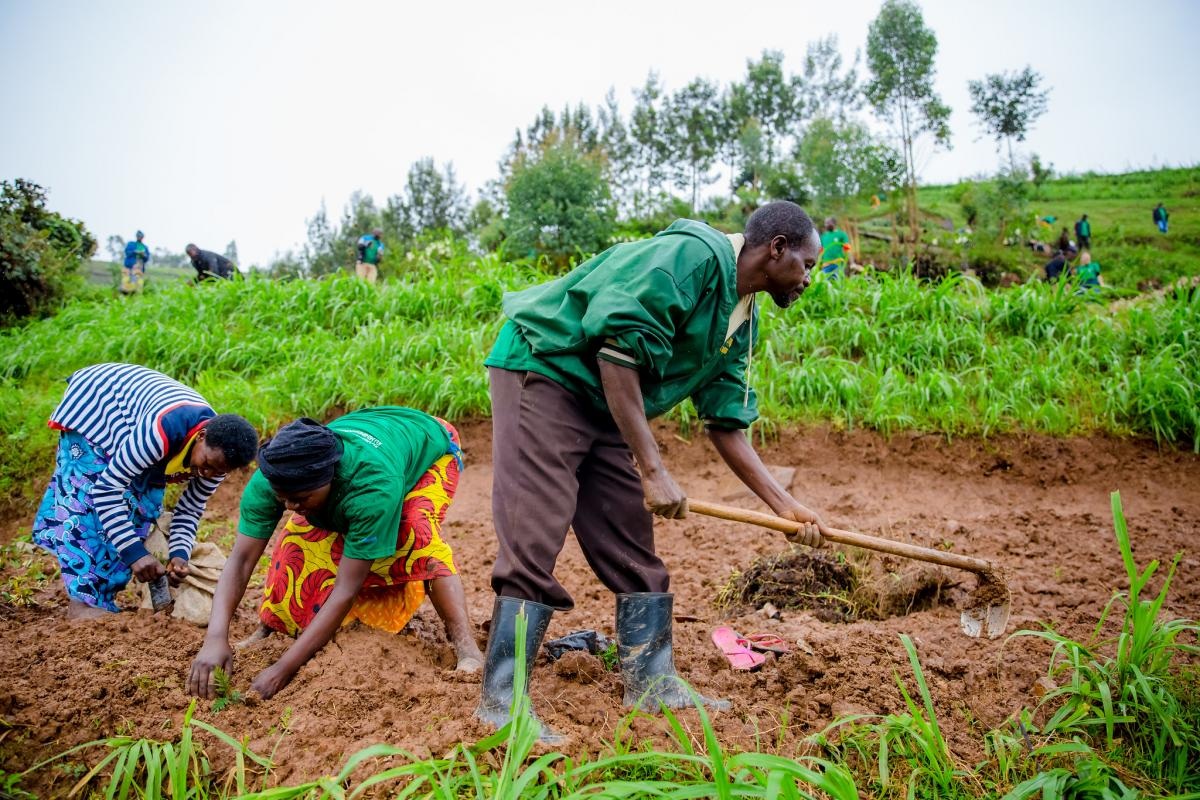 GreenFundRw's tweet photo. 🎉 6 days left till we hit a decade! Today, we're showcasing @GreenGicumbi: Our $32M beacon of hope for climate-vulnerable communities. 🌾 

Climate Resilient Agriculture and Food 🍲
Sustainable Forest Management 🌳
Climate Resilient Settlements  🏘️

#10YearsofGreenImpact 🔟🌿 https://t.co/OdToCT2g1t
