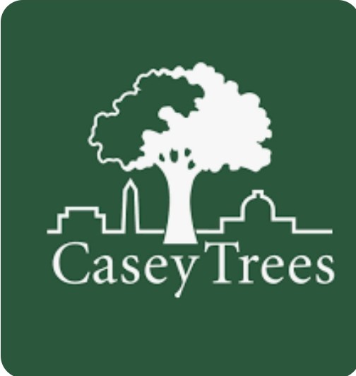 BraddockElem's tweet image. EXCITED! 😆💙🦅🌳 Welcomed Sam Nelson @CaseyTrees to Braddock Elementary! We are READY to plant trees on this BEAUTIFUL NEWLY Renovated site! 🙆‍♀️🌳🙆🏽‍♂️🌳 Working on our @fcpsGet2Green plan for Spring 2024! @TreesforCities @fcpsnews @FCPSRegion6 @BE_eXSTREAM @HandsOnHarvests 🌳💚😄