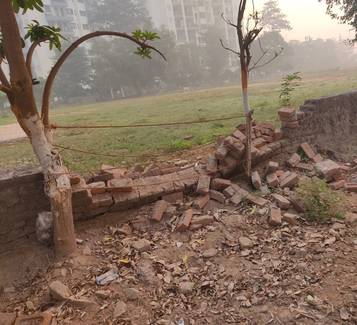 Young India tweet media