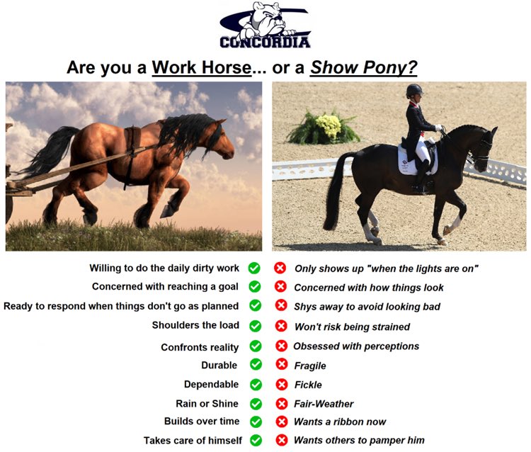 We frequently talk to our players about what kind of horses we’re looking for…