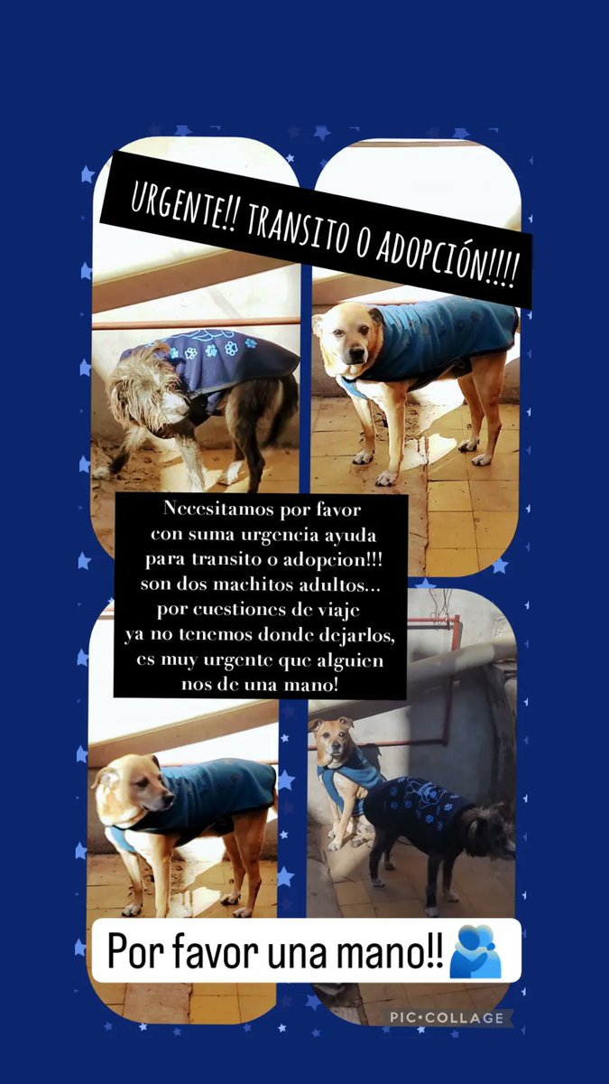mari (@marianasorenson) on Twitter photo 