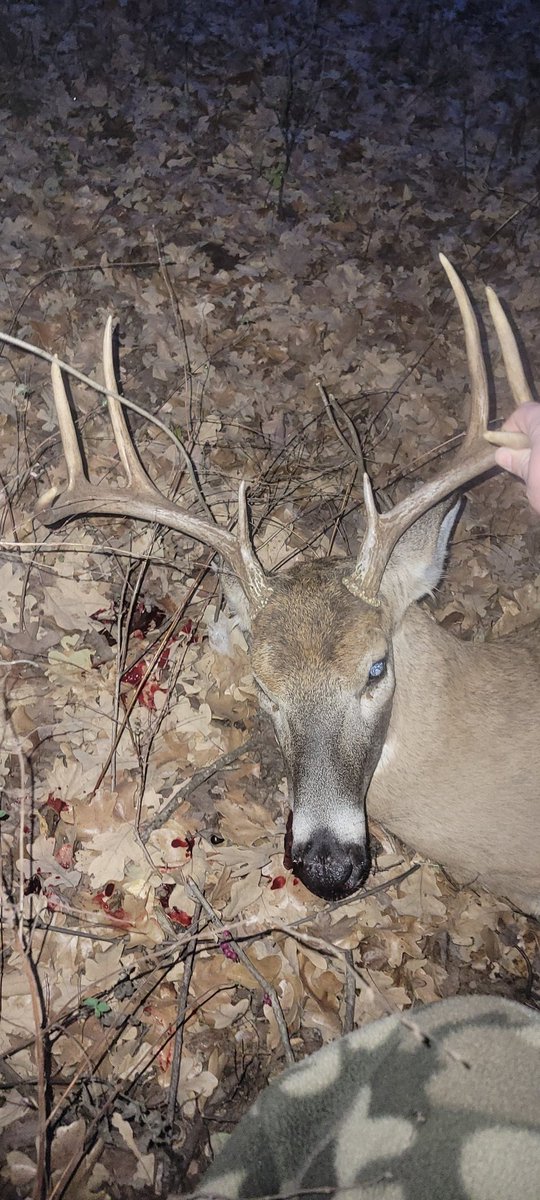 Got this decent 8 point last night