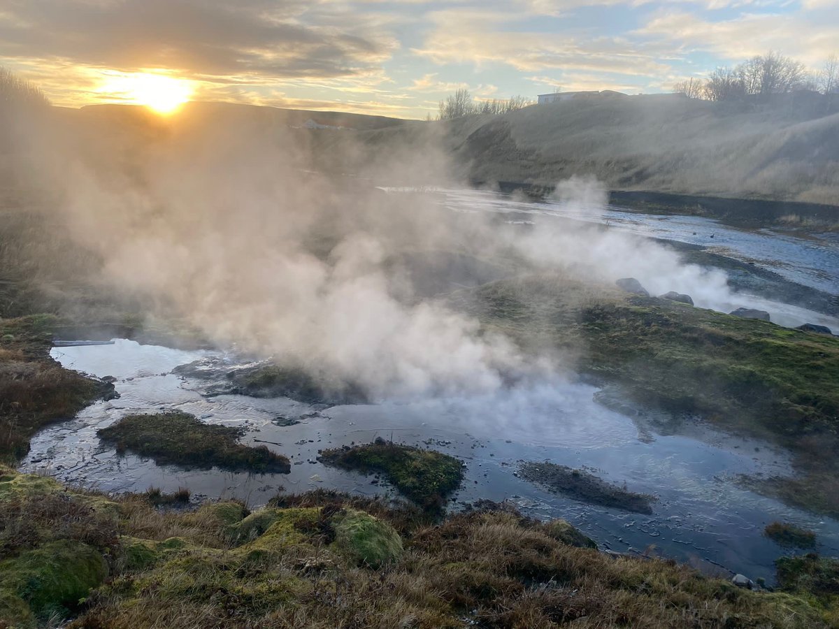 DundalkGrammarSchool tweet media