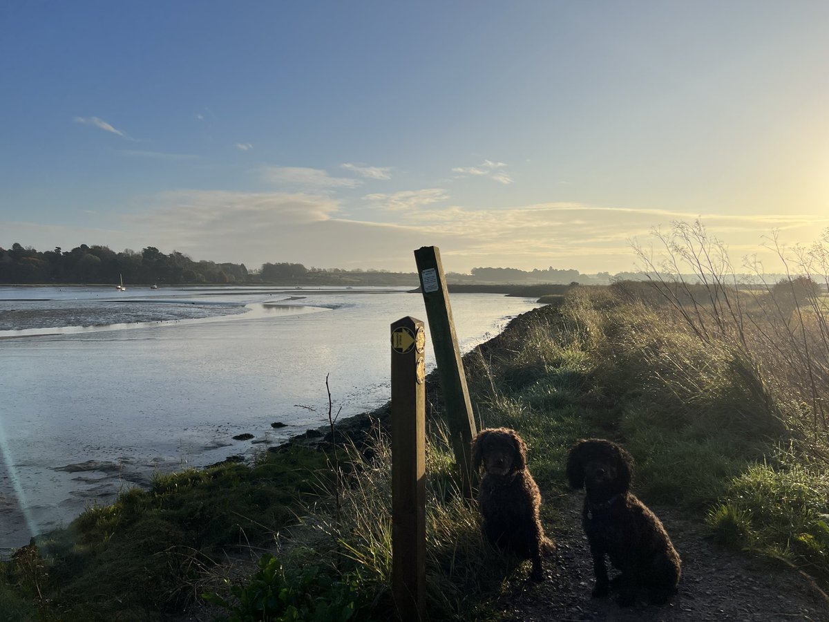 Nick_Collinson tweet media