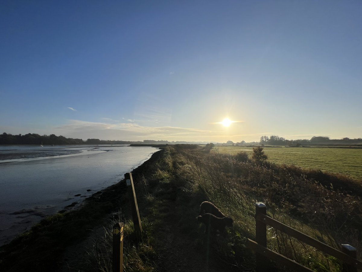 Nick_Collinson tweet media