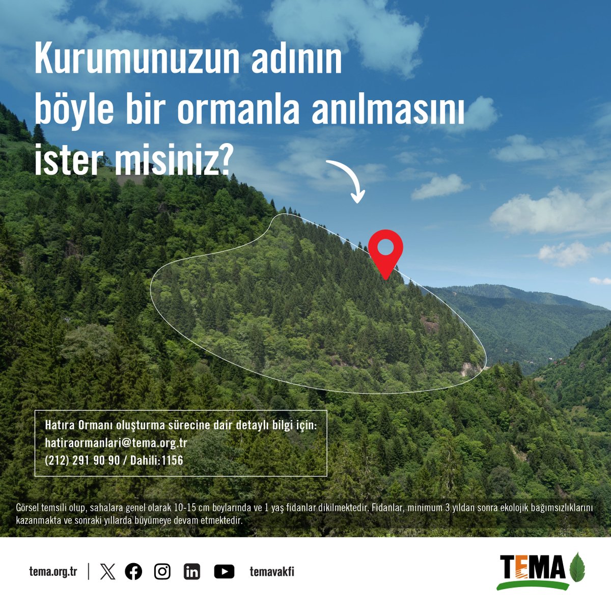 🌳 Kurumunuzun adının böyle bir ormanla anılmasını ister misiniz?

Kurumsal Hatıra Ormanı oluşturma sürecine dair bilgi için👇🏻

📩hatirormanlari@tema.org.tr
📞0212 291 90 90 /Dahili: 1156