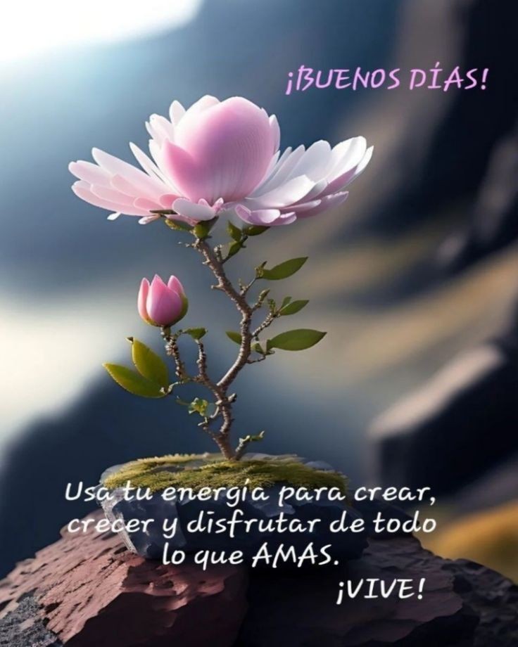 kALENITA20's tweet photo. @Alondra04461139 Buenos días Alondra pasa un bonito viernes https://t.co/B5thGLg0yV