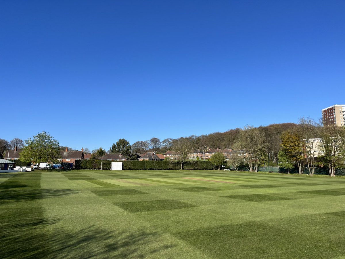 David Hodgson tweet media