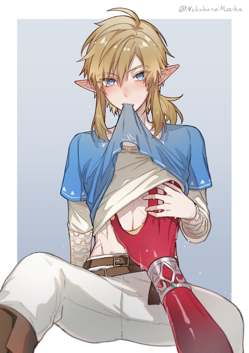 リンク(ゼルダの伝説) 「#sidlink 」|猫羽モカ️☕のイラスト