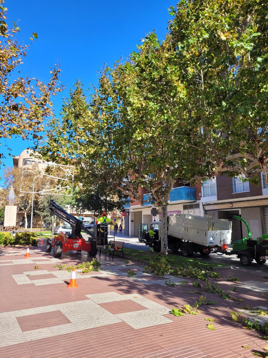 ERCCambrils's tweet photo. 🌳 Continuen les tasques de poda als carrers, avui a l’avinguda Vidal i Barraquer! I no és l’única intervenció als carrers, perquè s’acosta Nadal i ja està en marxa la col·locació de les llums, totes LED, tenint en compte els reptes sostenibles que ens hem marcat! ✊🏼

#Cambrils https://t.co/9TE4RoLgze