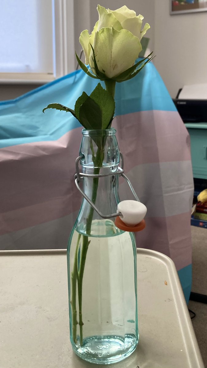 chippie_54's tweet photo. I think this is the first time I have been given a rose after a concert, I hope I can keep it alive for a bit!

And yes that is a trans flag in the background, it lives on the piano. Seems reasonable to keep it in shot as it is #TransAwarenessWeek https://t.co/On7lJmzpJt