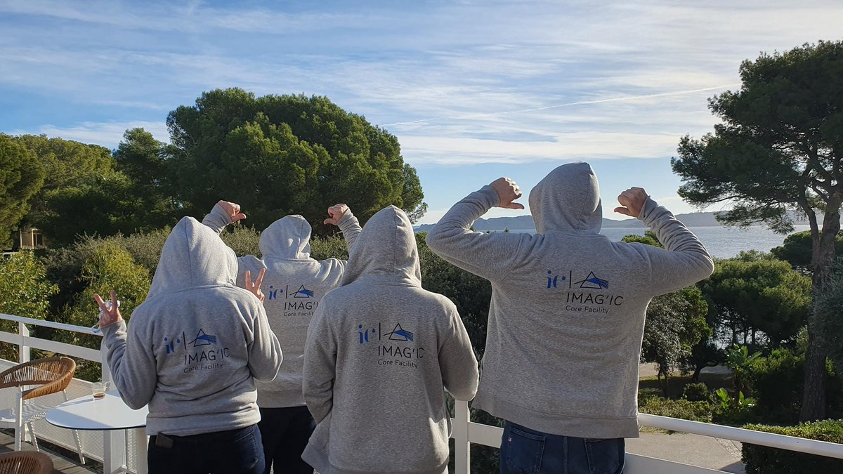 imag_ic's tweet image. This time it&apos;s the end, back to the platform.  Now we have 2 years to try to apply everything we saw at #MiFoBio2023.  see you again at #MiFoBio2025 !!
A pleasure to have seen you again

@GDR_ImaBio 
@RTMFM1
@InstitutCochin 
@Inserm 
@univ_paris_cite 
@CNRS