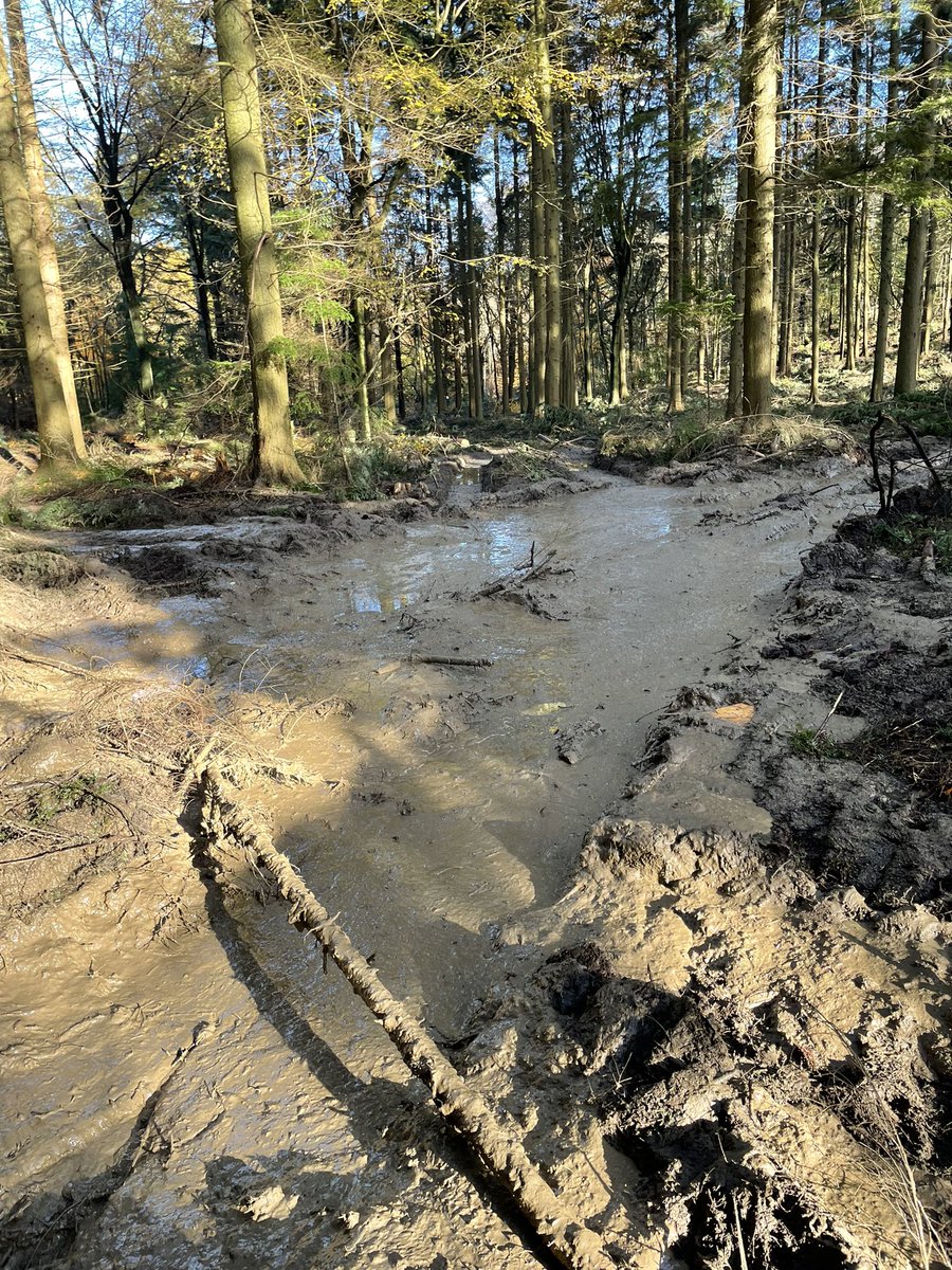 maxxxdyer's tweet photo. All this forestry work being carried out at Limpsfield Chart is ruining the landscape and cutting down so many hundreds of healthy trees seems a bit excessive @nationaltrust https://t.co/9h6vD55oP5