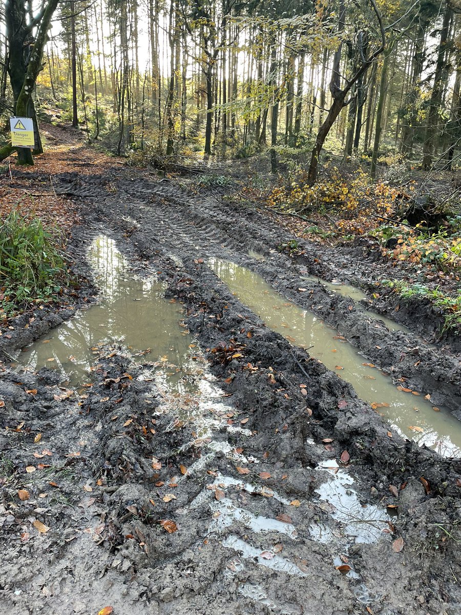 maxxxdyer's tweet photo. All this forestry work being carried out at Limpsfield Chart is ruining the landscape and cutting down so many hundreds of healthy trees seems a bit excessive @nationaltrust https://t.co/9h6vD55oP5