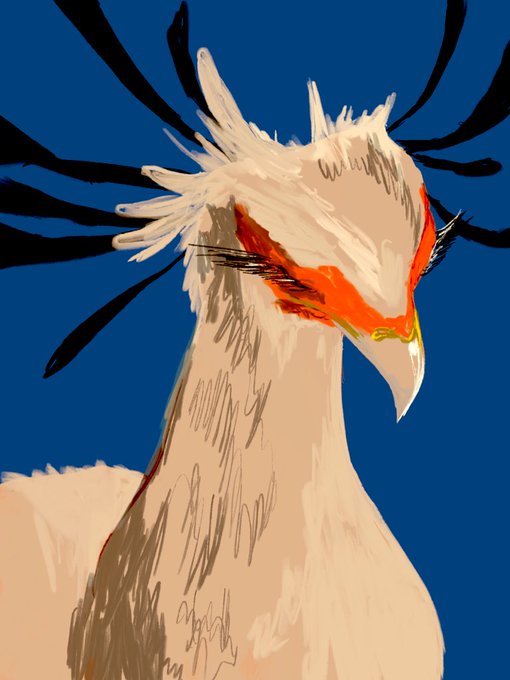 「beak closed eyes」 illustration images(Latest)