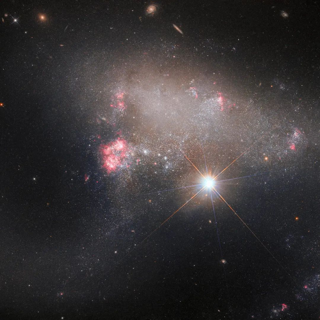 Homacu1's tweet photo. The galaxy Arp 263 got photobombed by a bright foreground star, BD+172217, in this #HubbleFriday shot!

Still, Arp 263 shines from 25 million light-years away with beautiful pink blooms ofrecent star formation. https://t.co/MSydJs77nh