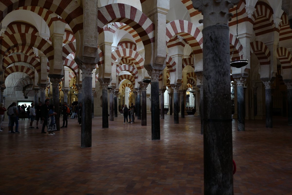 หนังโปรดของข้าพเจ้า tweet media