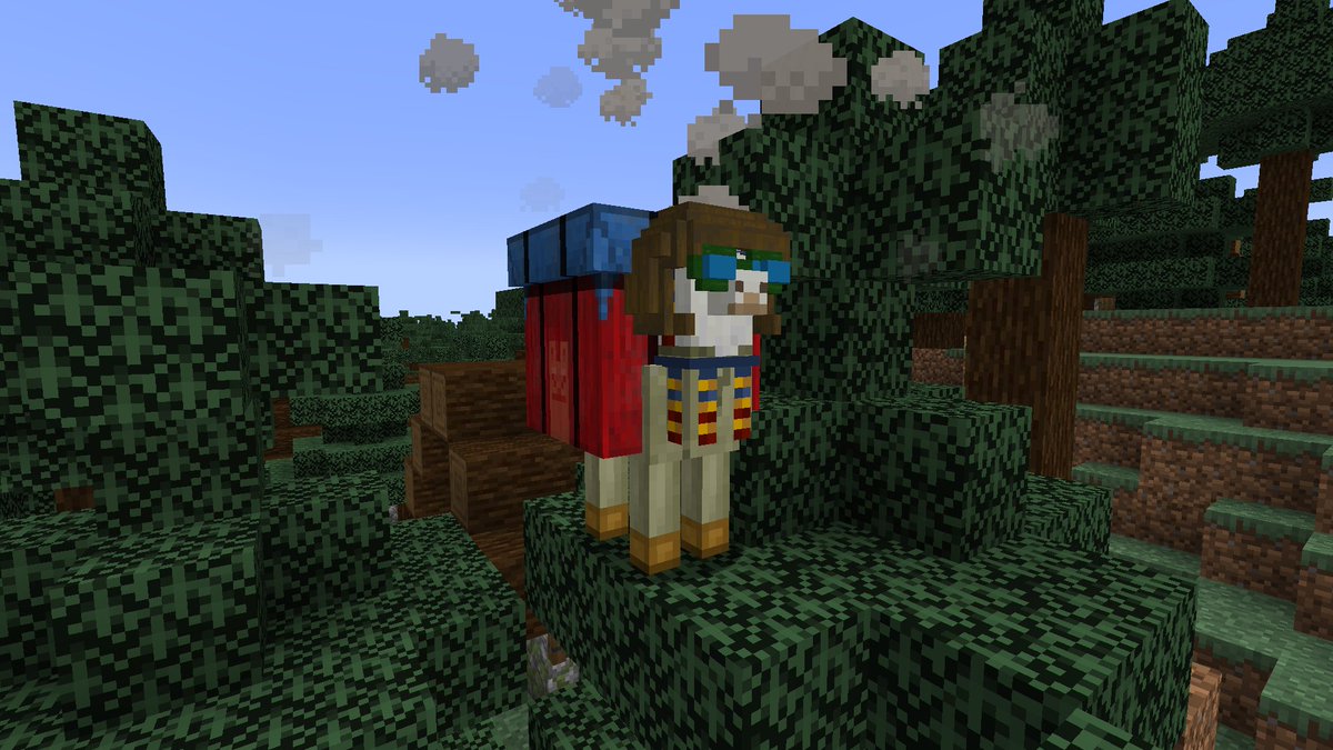 RippleEffectSMP's tweet photo. @DuDs_vs Never Forgotten... https://t.co/1FOmEHWA9o