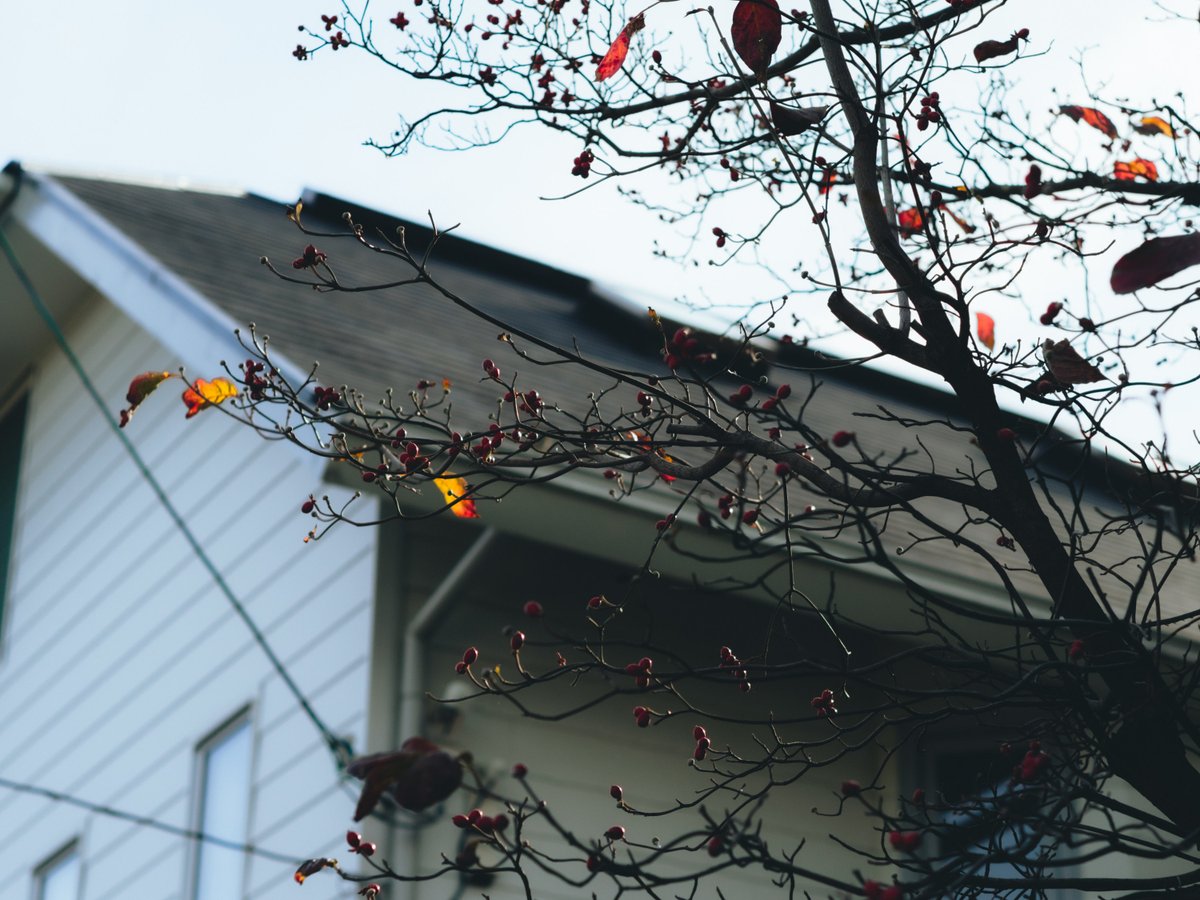 keita_miwa_'s tweet image. T
Elmar-M 50mm f2.8 2nd

#LeicaT