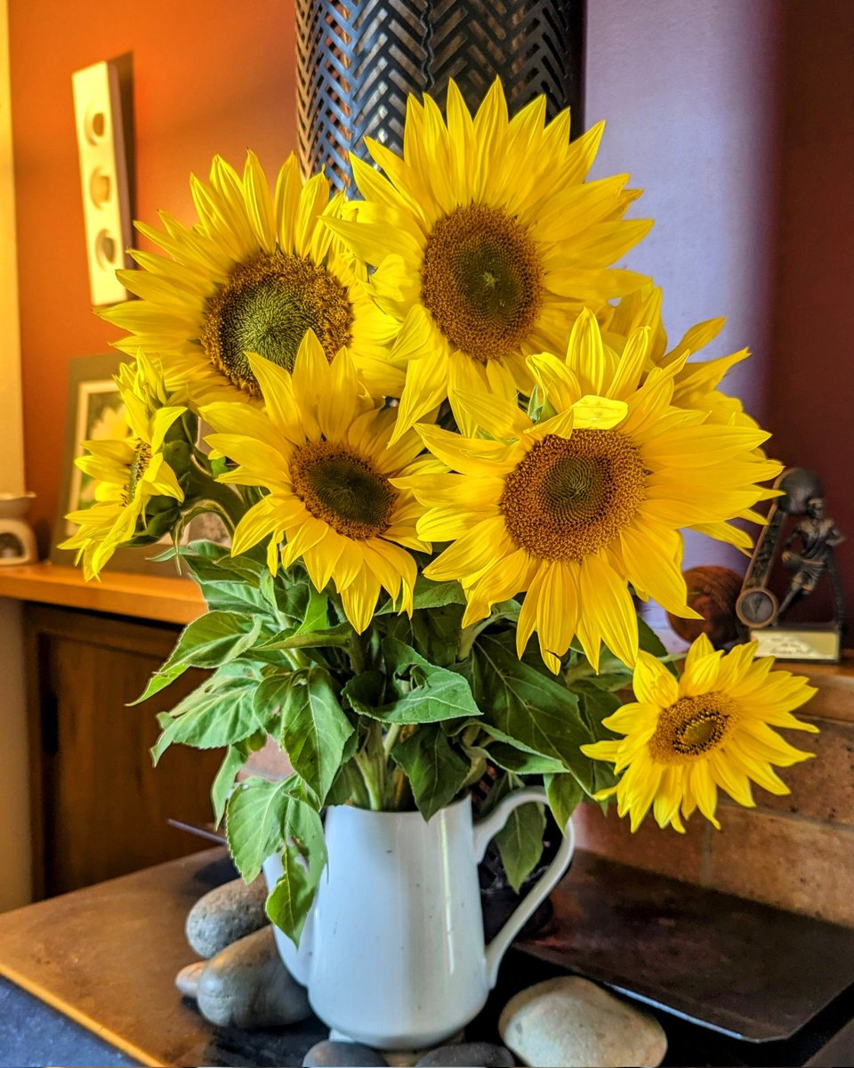 You mustn’t wish for another life. 
You mustn’t want to be somebody else. 

What you must do is this:

“Rejoice evermore.
Pray without ceasing.
In everything give thanks.”

I am not all the way capable of so much, but those are the right instructions.

Wendell Berry