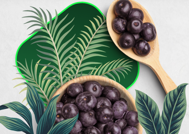 Doce_Revista's tweet photo. https://t.co/GnfxkmeJXa
Empresa brasileira leva a Londres linha de #ingredientes #veganos
Concepta Ingredients participa da Plant Based World Expo Europe, onde também vai apresentar seu programa de conservação florestal
16 DE NOVEMBRO DE 2023 https://t.co/iCfi8jikNo