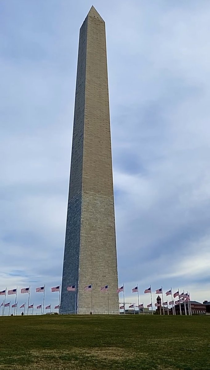 Briana Hockey tweet media